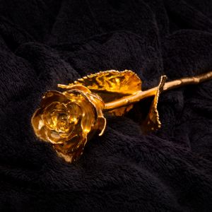 Róża zatopiona w 24-karatowym złocie