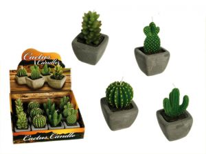 Świeczka kaktus - 12 sztuk